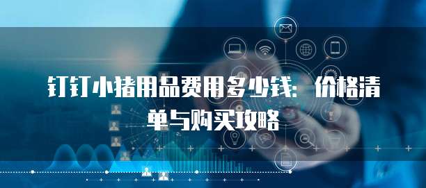 钉钉小猪用品费用多少钱:价格清单与购买攻略