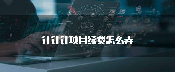 钉钉钉项目续费怎么弄