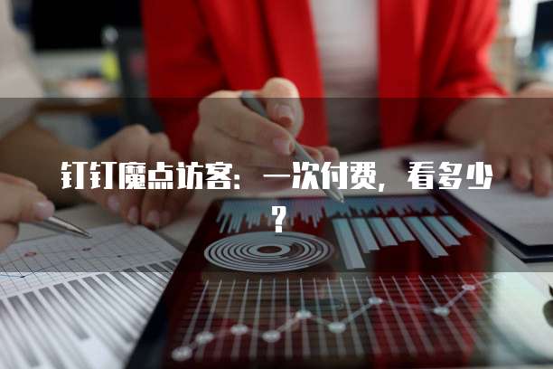 钉钉魔点访客:一次付费,看多少?