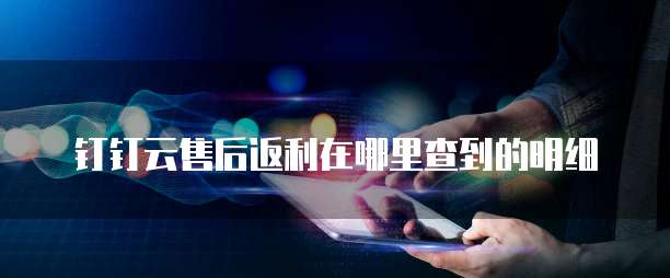 钉钉云售后返利在哪里查到的明细