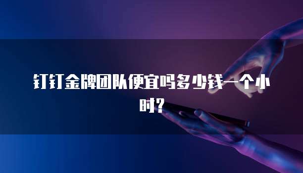 钉钉金牌团队便宜吗多少钱一个小时?