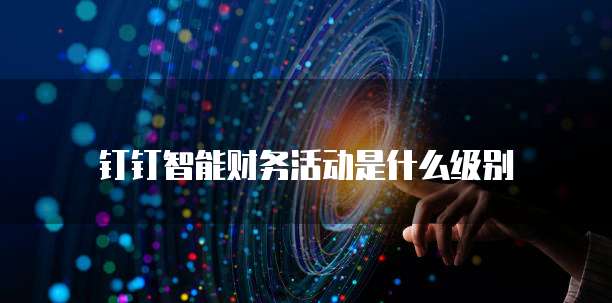 钉钉智能财务活动是什么级别