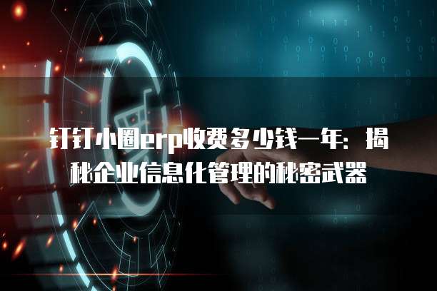 钉钉小圈erp收费多少钱一年:揭秘企业信息化管理的秘密武器