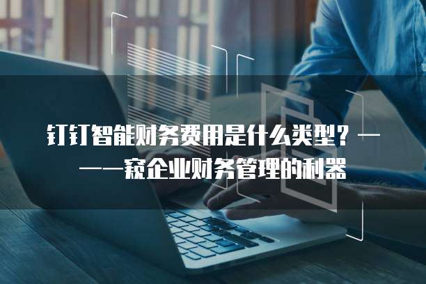 钉钉智能财务费用是什么类型?——一窥企业财务管理的利器