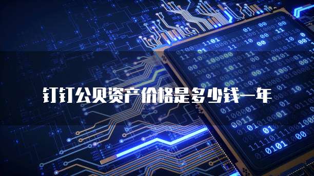 钉钉公贝资产价格是多少钱一年