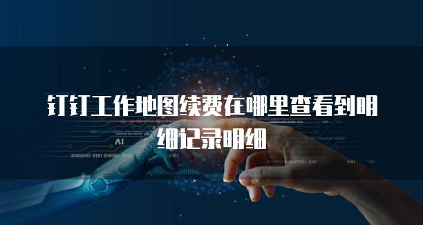 钉钉工作地图续费在哪里查看到明细记录明细