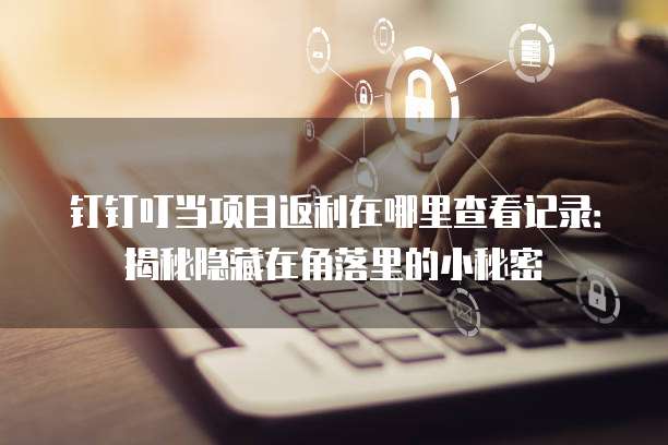 钉钉叮当项目返利在哪里查看记录:揭秘隐藏在角落里的小秘密