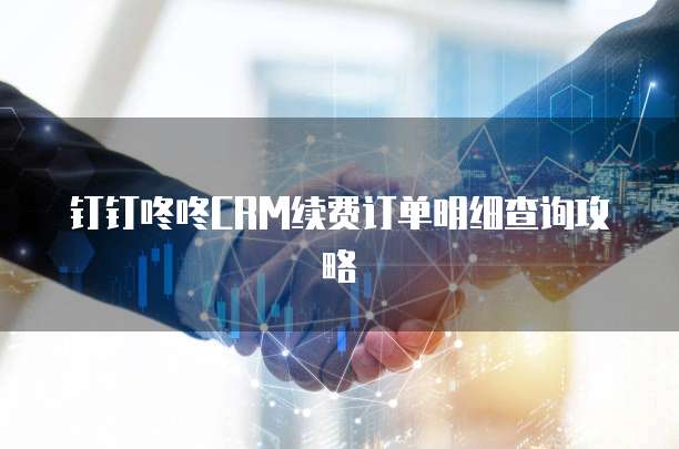 钉钉咚咚CRM续费订单明细查询攻略