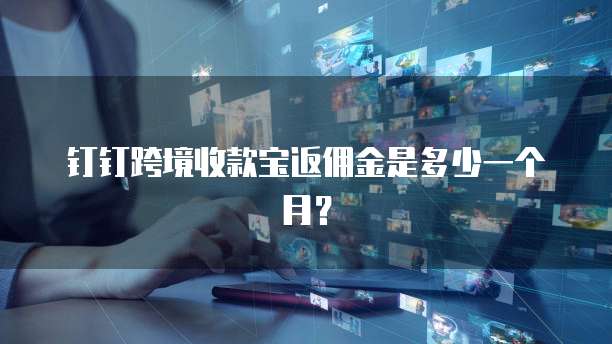 钉钉跨境收款宝返佣金是多少一个月?
