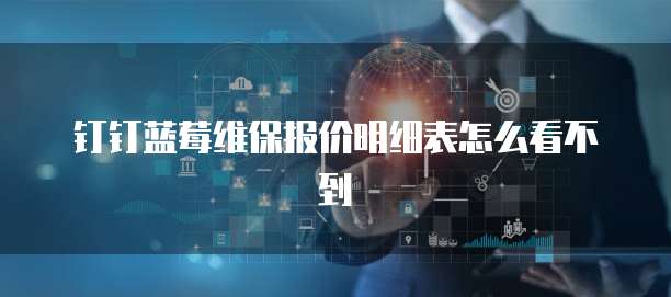 钉钉蓝莓维保报价明细表怎么看不到