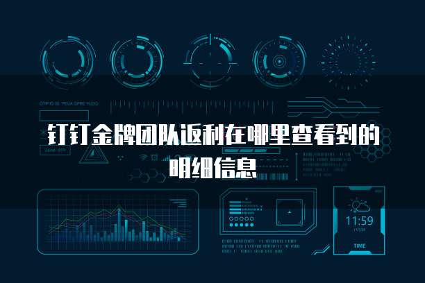 钉钉金牌团队返利在哪里查看到的明细信息
