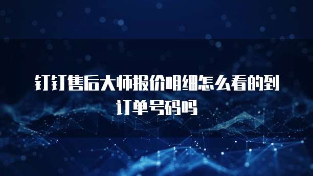 钉钉售后大师报价明细怎么看的到订单号码吗