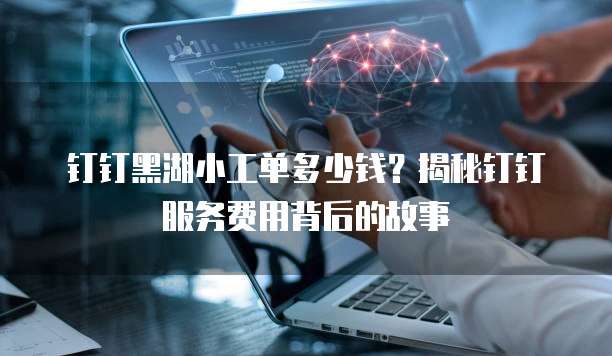 钉钉黑湖小工单多少钱?揭秘钉钉服务费用背后的故事