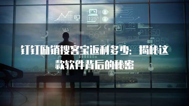 钉钉励销搜客宝返利多少:揭秘这款软件背后的秘密