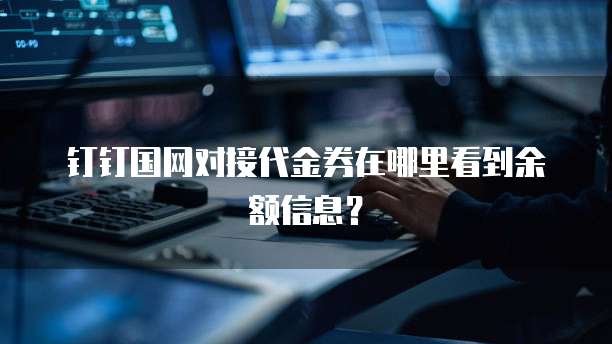 钉钉国网对接代金券在哪里看到余额信息?