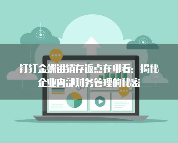 钉钉金蝶进销存返点在哪看:揭秘企业内部财务管理的秘密