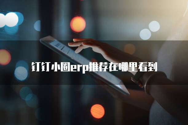钉钉小圈erp推荐在哪里看到