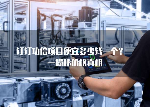 钉钉功倍项目便宜多少钱一个?——揭秘价格真相