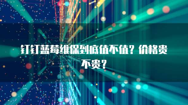 钉钉蓝莓维保到底值不值？价格贵不贵？