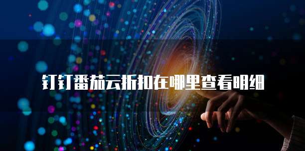 钉钉番茄云折扣在哪里查看明细