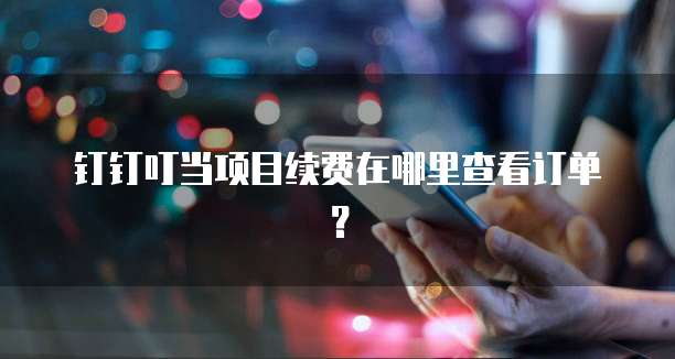 钉钉叮当项目续费在哪里查看订单?