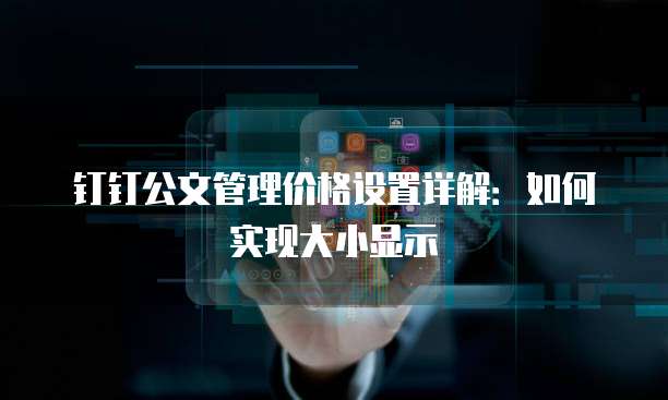 钉钉公文管理价格设置详解:如何实现大小显示