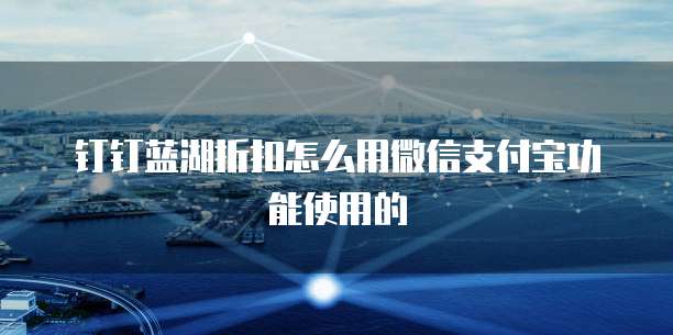 钉钉蓝湖折扣怎么用微信支付宝功能使用的