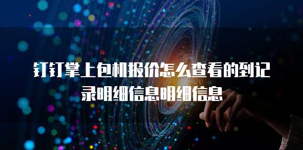 钉钉掌上包机报价怎么查看的到记录明细信息明细信息
