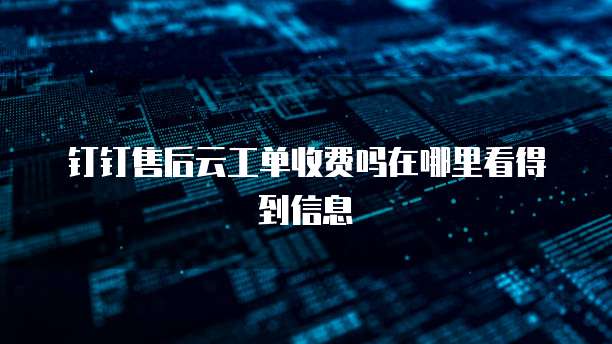钉钉售后云工单收费吗在哪里看得到信息