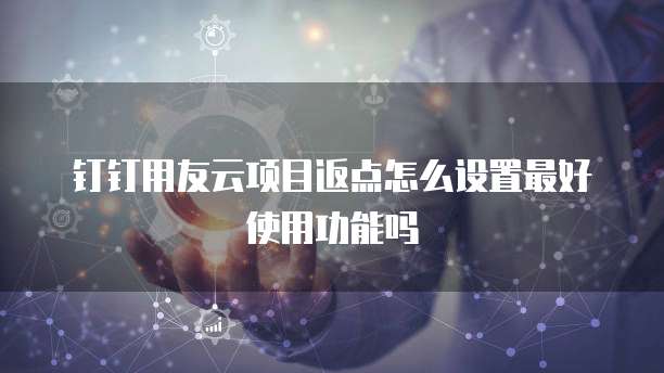 钉钉用友云项目返点怎么设置最好使用功能吗