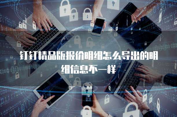 钉钉精品版报价明细怎么导出的明细信息不一样
