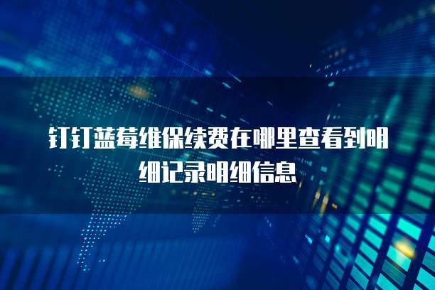 钉钉蓝莓维保续费在哪里查看到明细记录明细信息