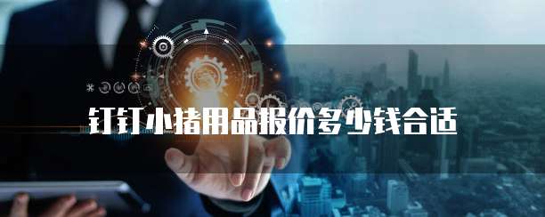 钉钉小猪用品报价多少钱合适