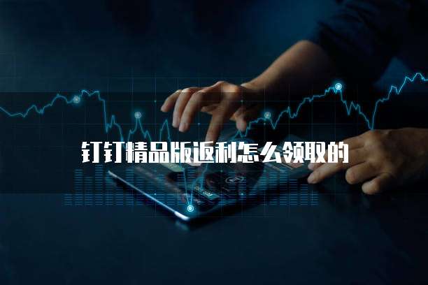 钉钉精品版返利怎么领取的