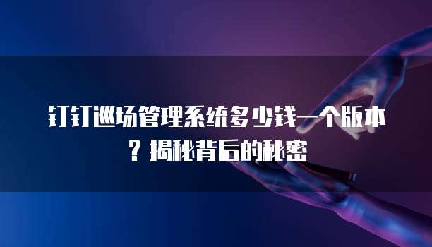 钉钉巡场管理系统多少钱一个版本?揭秘背后的秘密