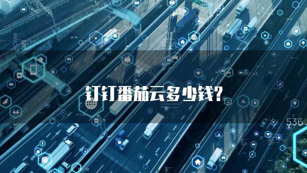 钉钉番茄云多少钱?