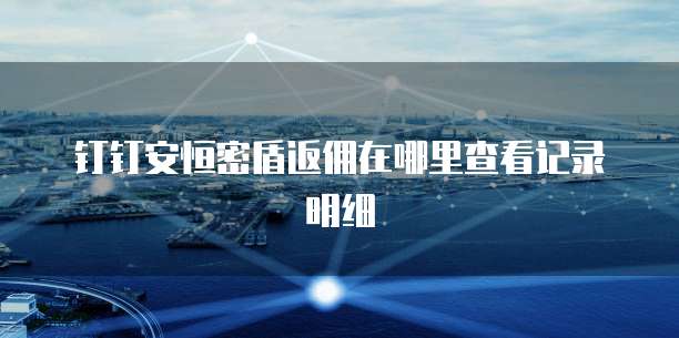 钉钉安恒密盾返佣在哪里查看记录明细