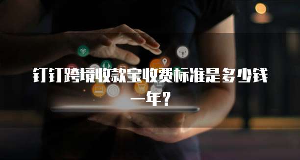 钉钉跨境收款宝收费标准是多少钱一年?