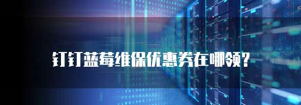 钉钉蓝莓维保优惠券在哪领?