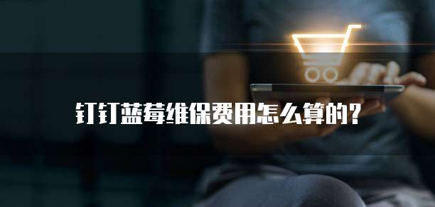 钉钉蓝莓维保费用怎么算的?