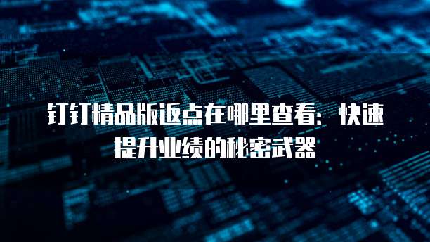 钉钉精品版返点在哪里查看:快速提升业绩的秘密武器