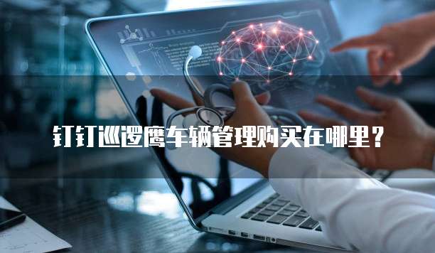 钉钉巡逻鹰车辆管理购买在哪里？