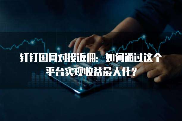 钉钉国网对接返佣:如何通过这个平台实现收益最大化?