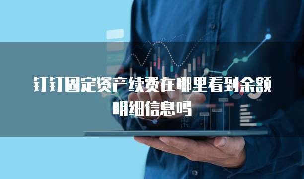 钉钉固定资产续费在哪里看到余额明细信息吗