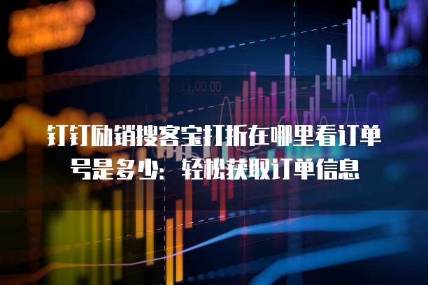钉钉励销搜客宝打折在哪里看订单号是多少:轻松获取订单信息