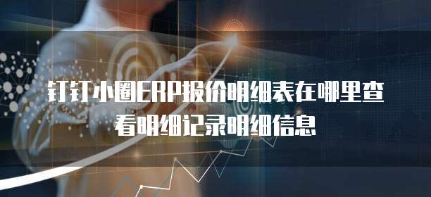 钉钉小圈ERP报价明细表在哪里查看明细记录明细信息