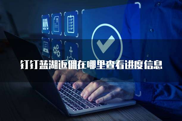 钉钉蓝湖返佣在哪里查看进度信息