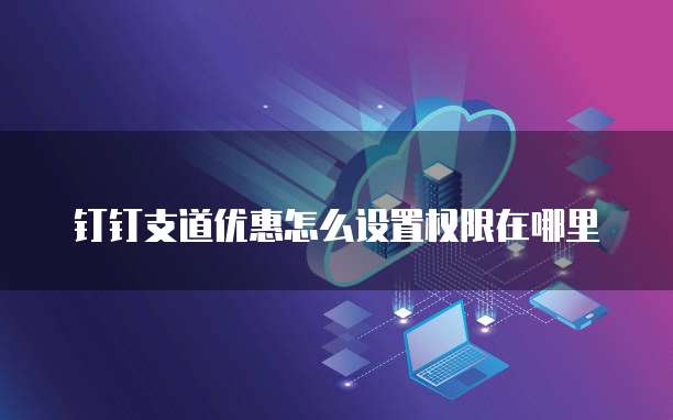 钉钉支道优惠怎么设置权限在哪里