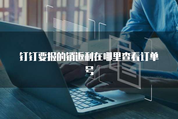 钉钉要报的销返利在哪里查看订单号