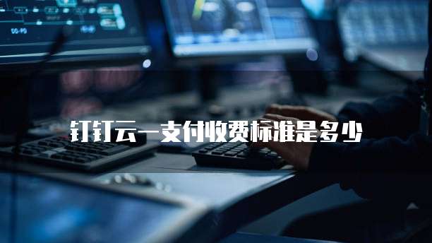 钉钉云一支付收费标准是多少